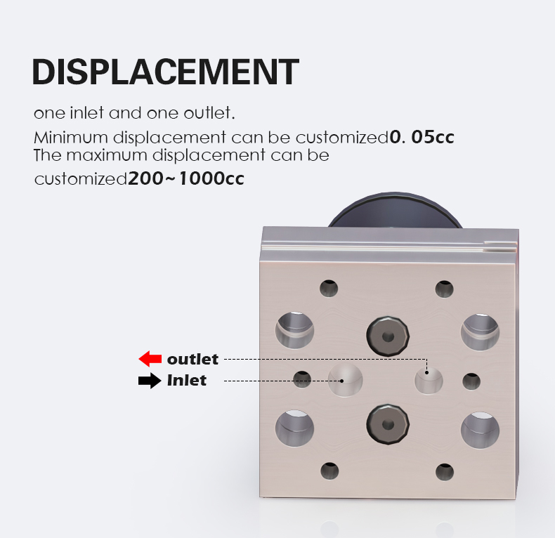 one inlet and one outlet. Minimum displacement can be customized0.05cc  The maximum displacement can be customized200~1000cc 