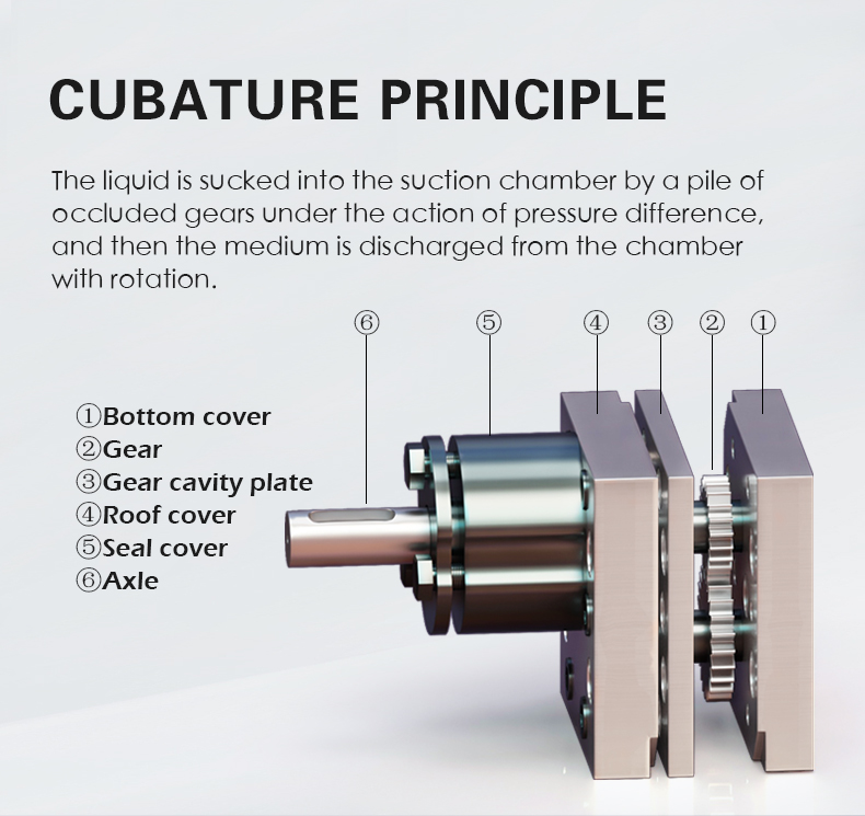 The liquid is sucked into the suction chamber by a pile of occluded gears under the action of pressure difference, and then the medium is discharged from the chamber with rotation.