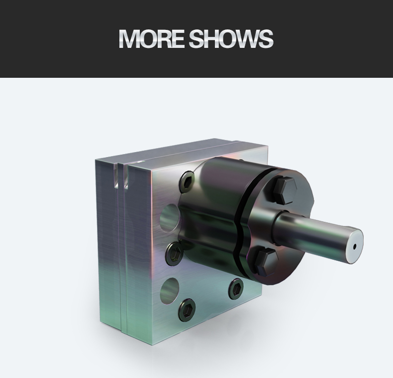 Small displacement gear metering pump(图9)