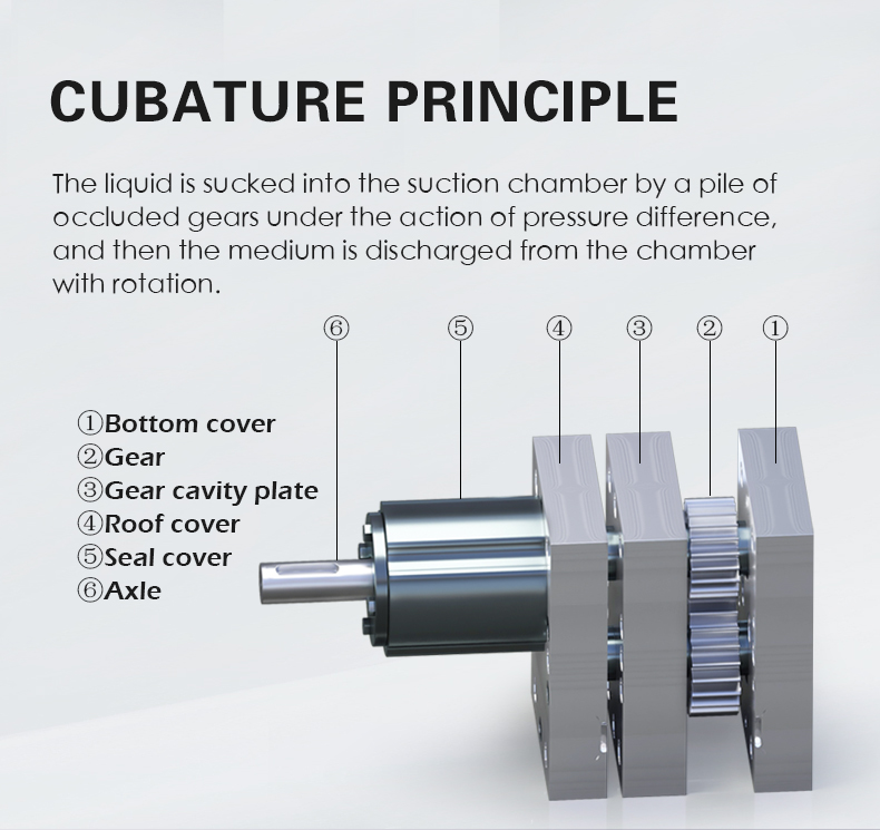 The liquid is sucked into the suction chamber by a pile of occluded gears under the action of pressure difference, and then the medium is discharged from the chamber with rotation.